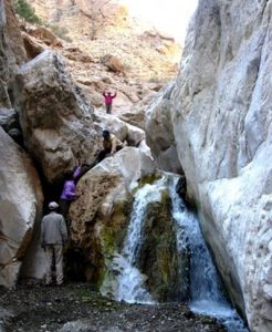 تنگ کرو